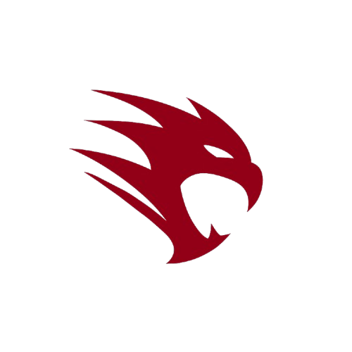 Dragonic Studio Icon